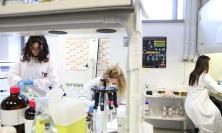 Unicam, "l’87% dei laureati magistrali è occupato a cinque anni dal titolo"