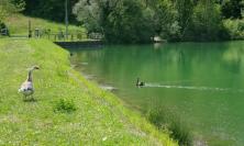 "Passeggiando Valfornace": escursioni al tramonto e performance artistiche