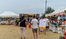 Tolentino Country: torna il weekend tra musica, balli e sapori di collina