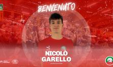 Un altro talento per Pallavolo Macerata: Nicolò Garello è il nuovo schiacciatore