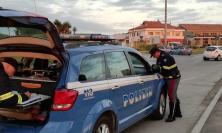 Controlli notturni lungo la costa di Macerata: 12 patenti ritirate per guida in stato di ebbrezza