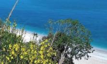 Paura in spiaggia: tre feriti per la caduta di un albero, recuperati via mare
