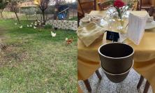 Agriturismo La Finestrella, una storia lunga 27 anni: la famiglia Pelati e il cuore della cucina marchigiana