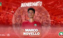 Banca Macerata Fisiomed: Marco Novello è il nuovo opposto biancorosso