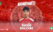 Prosegue la linea verde di Pallavolo Macerata: arriva il giovane libero Dolcini