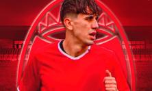 Maceratese, secondo rinforzo per la Serie D: dal Castelfidardo arriva il difensore Jacopo Morganti