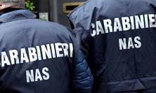 Controlli dei Nas a Porto Potenza: blatte morte e cucina sporca, chiuso ristorante di uno chalet