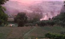 Mogliano, uliveto in fiamme: un uomo soccorso in eliambulanza (FOTO)