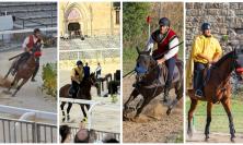 San Ginesio, Palio della Pacca 2025: le Contrade si affidano a cavalieri vincenti