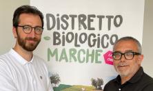 Tolentino, Andrea Passacantando è il nuovo presidente del Distretto Biologico Marche