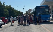 Estate al mare senza auto: torna il bus gratuito per Civitanova