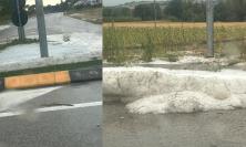 Maltempo nelle Marche: la provincia di Macerata fa i conti con vento, alberi caduti e grandine