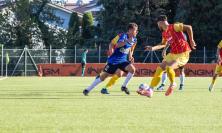 Serie D, ufficializzati i gironi: romagnole e laziali per Maceratese e Recanatese, subito derby in Coppa Italia