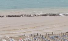 Alga tossica ed Escherichia Coli: doppio divieto temporaneo di balneazione nelle Marche