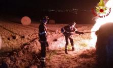 Incendio di rotoballe nelle campagne: domato dopo oltre 13 ore di lavoro