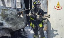 Ascoli, camion avvolto dalle fiamme nella zona industriale: trovato cane agonizzante in un capannone