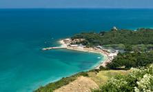 Alga tossica ad Ancona: stop alla balneazione anche a Portonovo
