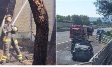 Civitanova, auto prende fuoco sull’A14: le fiamme coinvolgono la vegetazione