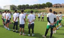Serie D, Castelfidardo: salta la trattativa con Filippi, la società resta in mano ai soci storici