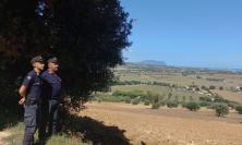 Potenza Picena, scoperto campo da golf abusivo di 17 ettari: denunciati proprietario e gestore