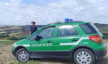 Potenza Picena, “Torrenova Golf non è abusivo, difformità edilizie in via di regolarizzazione"