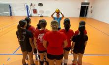 Cus Macerata, la sezione della pallavolo si allarga: nasce la squadra Under18 al femminile