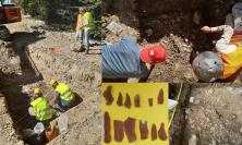 San Severino, nuove scoperte sul Paleolitico: se ne parla al Museo Archeologico "Moretti"