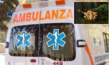 Tragedia a Ussita: 71enne stroncato da un malore mentre cercava funghi