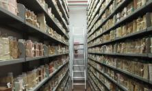 Memoria e Architettura: la storia del cimitero di Coldibove in mostra all’Archivio di Stato di Camerino