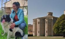 Corridonia, un corso per diventare dog e petsitter: lezioni all'Abbazia di San Claudio