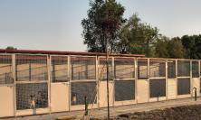Civitanova, nuovi box al canile comunale: interventi per 13mila euro
