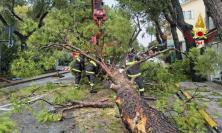 Marche - Piogge intense, allagamenti e alberi caduti: numerosi interventi dei vigili del fuoco