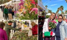 Civitanova, "Il Mare in Fiore" anche in autunno: torna la mostra mercato a tema floreale