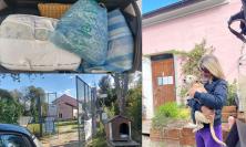 "Coperte e piumoni per gli animali del canile di Macerata: un gesto d'amore per chi non ha voce"