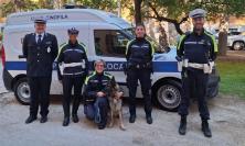 Macerata, controlli antidroga vicino alle scuole: tre persone segnalate, tra loro un minorenne