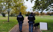 Controlli nel Maceratese con unità cinofile: oltre 200 persone identificate. Espulso cittadino irregolare