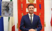 "Nessuna crudeltà umana, per il gattino fatale l'attacco di un altro animale": chiarito il caso di Tolentino "Nessuna crudeltà umana, per il gattino fatale l'attacco di un altro animale": chiarito il caso di Tolentino