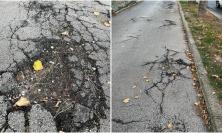 "Macerata, la città in cui amerai vivere… e inciampare": viale Leopardi è un campo minato "Macerata, la città in cui amerai vivere… e inciampare": viale Leopardi è un campo minato