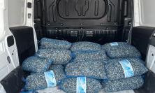 Civitanova, blitz della Guardia Costiera: sequestrati 3 quintali di vongole non tracciate