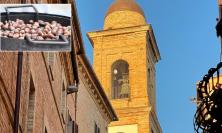 Urbisaglia, tra profumo di braci e voglia di comunità: arriva la prima "Castagnata in Corso"