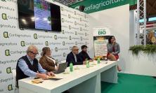 Distretti biologici a confronto, Marche protagoniste a Ecomondo 2025