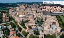 Civitanova Alta celebra storia e tradizione: camminata tra i vicoli e castagnata al Chiostro di San Francesco