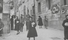 Avis Cingoli, "Le donatrici sono sotto la metà degli iscritti": un Calendario per sensibilizzare