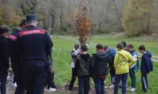 Valfornace celebra la "Festa dell'Albero": un impegno per il futuro verde con le scuole