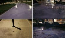 "Giardini Diaz riaperti, ma restano le perplessità. Scelte discutibili, servono risposte"