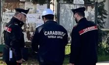 Monte San Giusto, gravi irregolarità in un cantiere: ditta sospesa e denunce