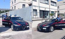 Tolentino, cane trovato denutrito e in fin di vita: denunciato il proprietario