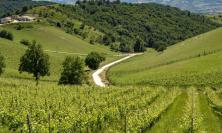 Sinclinale Camerte, a Matelica il nuovo laboratorio per costruire l’identità gastronomica del territorio