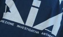 "Mafie sul territorio, serve subito la Dia nelle Marche": Fratelli d'Italia Potenza Picena scrive a Piantedosi