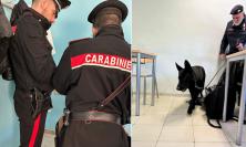 Controlli antidroga nelle scuole del Maceratese: sequestri e un giovane segnalato